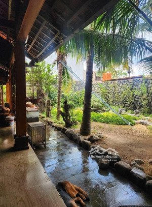 cơ hội sở hữu nhà góc 2 mặt tiền đường a6 - phường buôn ma thuột (thôn 1, cư êbur cũ)