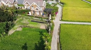 cần bán lô góc 192,6m đất view lúa cẩm châu gần cf chicchilax giá 6,2 tỉ lh: 