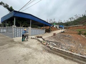 3xx có ngay lô đất kỳ sơn - thành phố thuỷ nguyên
- đường thôn 4m! diện tích 63,5m hướng đông n