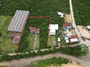 chính chủ bán đất thổ cư diện tích 2400m² phú sơn - lâm hà, cách đà lạt 40km