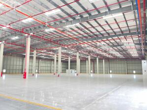BÁN XƯỞNG 20.000M2 TRONG KCN HẢI SƠN TÂN ĐÔ, ĐỨC HÒA, LONG AN GIÁ 155 TỶ