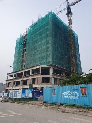 chung cư handico quang trung mới, thanh toán tiến độ, chủ đầu tư uy tín. lh 