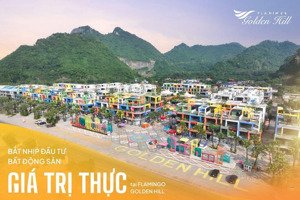 bán bt 8pn, 9wc, 105m2 tại flamingo golden hill, 6,7 tỷ, kim bảng, hà nam