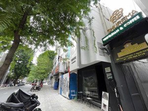 cho thuê nhà trung tâm quận 1 đường nam kỳ khởi nghĩa, p. nguyễn thái bình, q.1