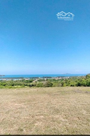 bán đất tại xã an ninh đông, tuy an, phú yên, diện tích 3792 m2