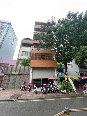 toà nhà cho thuê:viêw sông hoàng sa p tân định trung tâm q1(5lầu)