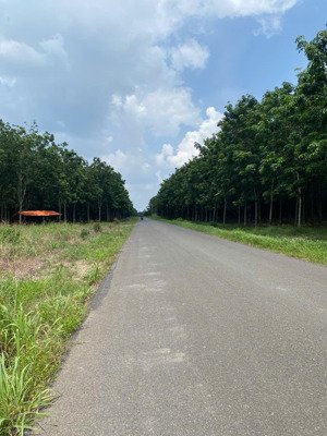 bán lô đất mặt tiền đẹp 23,5 mét ngang, gần kcn becamex chơn thành giá chỉ 5xxtr liên hệ ngay