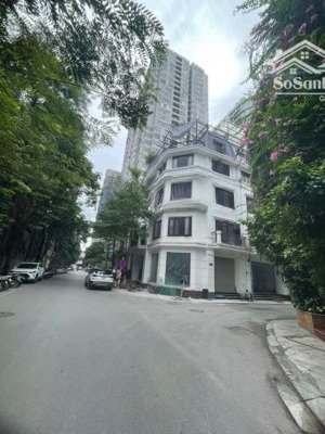 bán tòa vp lô góc 8 tầng giảng võ, láng hạ mặt đường kinh doanh vỉa hè, dt 110m2, mt 10m