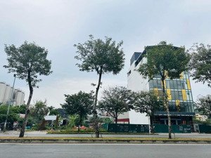bán đất xây toà nhà văn phòng khủng tại mặt phố trịnh văn bô, 300m2, mt 12m, sổ đỏ