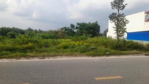 đất đường số 55, tdc phú chánh, phú tân, dt: 6x22, thổ cư: 100%, lh: mr.toàn