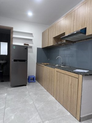 cho thuê cc lavida plus, nguyễn văn linh, tân phong, q7, hcm, 9,5 triệu, 55m2