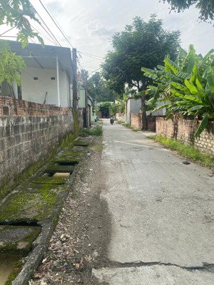 cắt lỗ lô đất 61.3m2, 600 triệu kênh giang, thủy nguyên, hải phòng