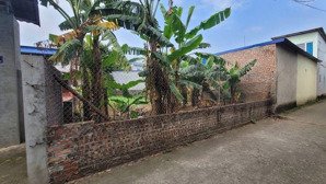 chính chủ bán 144m2 tại thôn phú cường minh phú