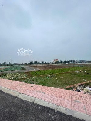 chính chủ cần bán lô đất mặt biển quất lâm. diện tích 100m2 giá đầu tư 1,x tỷ