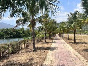 lô góc 3 mặt tiền view sông kđt ven sông tắc vị trí đẹp giá 37tr/m