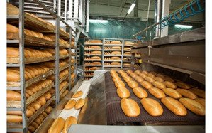 mặt phố hoa bằng - 210m, mặt tiền 5m, 2 mặt thoáng - giá 59 tỷ - cơ hội đầu tư lý tưởng.