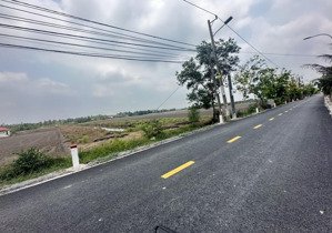 bán 1000m đất lúa mặt tiền lương ngang tân nhựt bình chánh