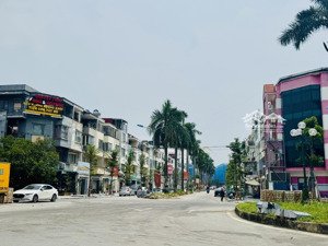 bán 6 căn liền kề tân tây đô - giá tốt - có dòng tiền giá chỉ từ 151 tr/m2 lh 