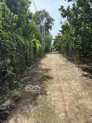 đất sào có 100mv thổ cư, long khánh, đồng nai, 1,5 tỷ, 1000m2