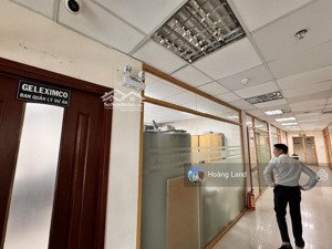 giảm 10 tỷ bán gấp tòa nhà mt dương quảng hàm q. gò vấp 11x50m - hầm 8 tầng hđt 300tr giá 110 tỷ