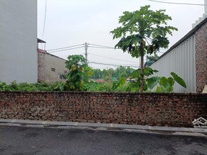 siêu hot - bán đất 75m2 mặt tiền rộng, nở hậu, view công viên, 2 mặt đường, trước sau, 2 ôtô tránh