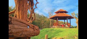 bán gấp trang trại, khu nghỉ dưỡng 2 mặt tiền tại hòa bình, xuyên mộc, br - vt, 16,7 tỷ, 11861 m2