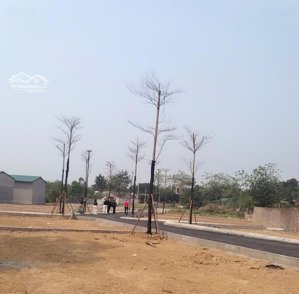 bán đất tại bình yên, thạch thất, hà nội, 35,5 triệu, 103m2, giá siêu hời