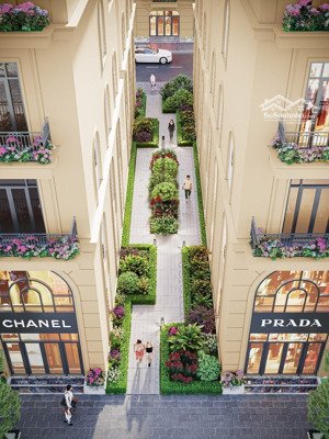 hồng bàng midtown khu nhà phố thương mại trung tâm tp. hải phòng