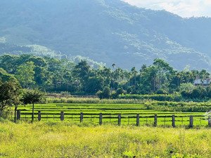 cần bán 2274m2 tại gần điểm cuối ga metro view cánh đồng và núi đồi mà chỉ hơn 10tr/m