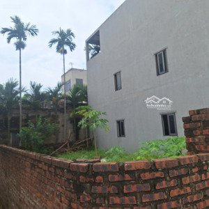 siêu phẩm đất lương quy xuân nộn đông anh, 66m², ngõ ô tô tránh, dân cư đông đúc, giá 3.8 tỷ