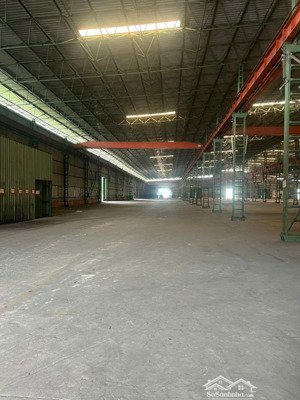 cho thuê kho xưởng 3.000 6.000m² tại bến lức, giá hời gần sông, xe container ra vào 24/24