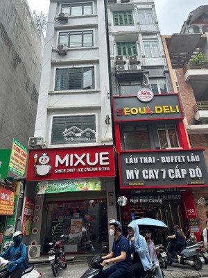 cho thuê mbkd chùa láng 50m x 5t, mt 5m, gần đh ngoại thương, ngoại giao 