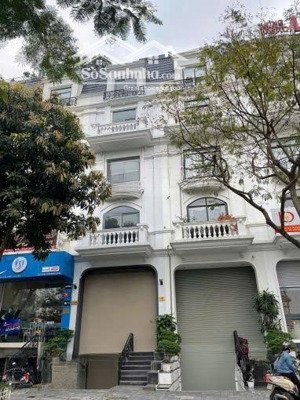 cho thuê nhà mặt phố shophouse tôn thất thuyết- dịch vọng hậu cg. 90m2 x 7 tầng + 1 hầm 70tr/th