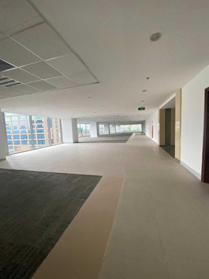 văn phòng cần cho thuê gấp phố tôn thất thuyết, dịch vọng hậu 300m2 giá chỉ 200k/m2/th: 