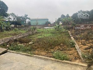 chủ cần tiền hạ giá bán nhanh lô đất đẹp đồi sen nay thuộc xã hạ bằng. dt 60,7m². chỉ 2tỷ250triệu