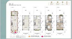 siêu phẩm đầu tư - liền kề & biệt thự khoáng nóng đầu tiên bên sông hồng