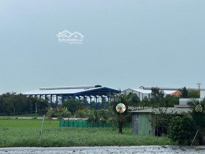 cho thuê kho, nhà xưởng ở hướng thọ phú, tân an, long an, dt khuôn viên 12000m xưởng 8000m