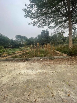 bán đất tại thôn đồi sen, 2,7 tỷ, 96m2 giá ưu đãi