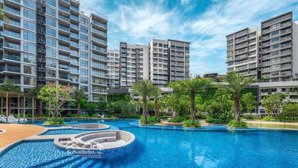 cho thuê căn 2pn góc 96m2 view hồ bơi diamond centery, tầng đẹp, kèm ô xe định danh. 17tr/tháng