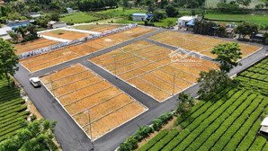 4xx-6xx triệu có ngay 61-96m² full thổ cư tại phú thành, lạc thủy, hòa bình lh 