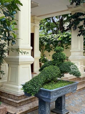 bán bt sân vườn xuân đỉnh đẹp, phong cách pháp quyến rũ thanh lịch cổ xưa, 310m2 32tỷ, 