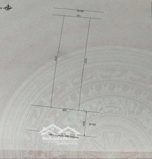 bán lô đất đẹp đinh đạt sơn trà đà nẵng