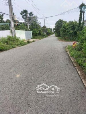 chủ ngợp cần bán lô phú an, bến cát, bình dương. diện tích 250m2-1,250 tỷ. pháp lý đầy đủ.