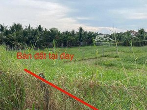 bán đất 650m2, 7,5 tỷ tại tỉnh lộ 7, trung lập hạ, củ chi, hcm