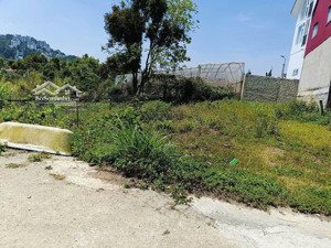 chính chủ gửi bán lô đất đẹp đường ô to tại nam hồ, đà lạt 233m2 giá chỉ 7.5 tỷ