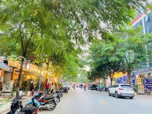 cần bán nhanh mảnh đất phân lô hoàng mai,hoàng liệt,linh đàm,oto tránh đỗ ,vỉa hè