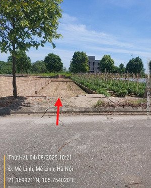 bán lk6, sổ đỏ nhìn trung tâm thương mại. dt 100m2. giá 65tr/m2