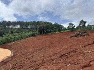 mê linh - cách đà lạt chỉ 20km. view đồi thông bao quanh giá chỉ 790 triệu