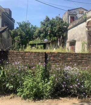 đất mặt tiền kinh doanh chính chủ