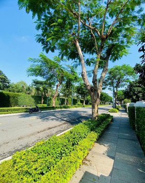 bán căn nhà phố 5x17, căn kế góc hiếm đối diện công viên hương mát, giá 15.5 tỷ, gọi vũ: 